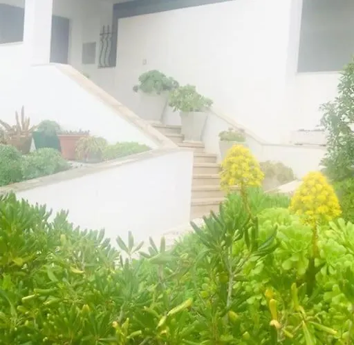 Casinha Do Mar شقة